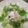 クックM96XDX☆'s cooksnap of when they made 簡単！裏技de超やわらかサラダチキン.
