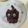 白いぐれーぷ's cooksnap of when they made 飼い主さんを見上げる黒猫にキュン♡.