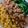 ✩とーる✩'s cooksnap of when they made 定番三色そぼろ丼.
