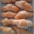 patepateco's cooksnap of when they made 簡単成形HB塩パン（強力粉塩ロールパン）.