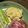 しゅがーぐらいだー's cooksnap of when they made おかずになる♪さつまいもサラダ.