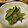✿月華❀'s cooksnap of when they made 作り置きおかず⭐︎ピーマンの焼き浸し.