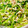 U☆kaoru's cooksnap of when they made 豆苗と切り干し大根のツナマヨ和え.