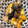 run※'s cooksnap of when they made さつま芋と舞茸のきんぴら.