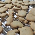 Ｆｒｅｙａ's cooksnap of when they made サラダ油で作る基本のクッキー（プレーン）.