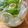 幸せマーチャ's cooksnap of when they made すだち酒.