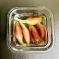のんべぇヒロ's cooksnap of when they made 茗荷（みょうが）の保存方法　＾＾♪.