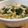 みすたあ☆'s cooksnap of when they made 卵あんかけうどん.
