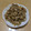 ラリー＆サラ's cooksnap of when they made 豚肉と舞茸 すき焼きのたれでしぐれ煮風.