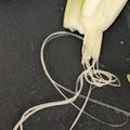 ひぃちゃんひー's cooksnap of when they made セロリの筋の取り方(多分、一番簡単).
