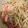 kbmm's cooksnap of when they made 簡単褒められ☆もやし中華サラダ.