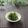 まろんかふぇ's cooksnap of when they made 5分で完成♪ピーマンのツナゆかり和え.