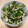 moonparty's cooksnap of when they made おかひじきともやしのナムル.