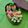 runa10's cooksnap of when they made 目をつむって食べたらスパムおにぎり♪.