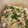 iam樹's cooksnap of when they made 大根と豚肉のこってりみそ煮.