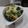 りりぃ。's cooksnap of when they made ほうれん草と竹輪のさっぱり胡麻和え.