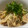 にゃつめ〜's cooksnap of when they made えのきの梅和え.