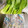 のんべぇヒロ's cooksnap of when they made これで長持ち！ほうれん草の保存法.