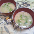 みかかめ's cooksnap of when they made 白菜とえのきと生姜のお味噌汁.