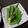 きのっぴぃ２号's cooksnap of when they made ポリポリいく！オクラのまろやか白だし漬け.