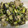 Lemon0790's cooksnap of when they made 長ネギ大量消費！なすと豚肉の味噌炒め.