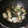 むーんばぐす's cooksnap of when they made 豚肉とほうれん草のオイスターソース炒め.