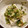 愛猫ベリー's cooksnap of when they made オクラときゅうりの梅ごま和え.