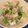 c0c0tora's cooksnap of when they made さっぱり簡単♪めちゃうま豆腐サラダ♪.