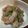 shogopapa's cooksnap of when they made 豚こまで簡単！ご飯が進む豚のねぎ塩だれ.