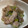 shogopapa's cooksnap of when they made 豚こまで簡単！ご飯が進む豚のねぎ塩だれ.