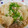 猫子's cooksnap of when they made ✿とろ～り かぶと鶏ひき肉のあんかけ✿.