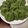 クックOC4VZI☆'s cooksnap of when they made 黄金比で☆ホントにおいしい草餅☆.
