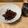 ノナミー's cooksnap of when they made 簡単でおいしい！ホタルイカの佃煮.