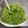 ぐ〜たらこ's cooksnap of when they made すっげ～ウマい モロヘイヤ‼.