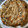 Moggieneko's cooksnap of when they made せいろで作る本格風！中華おこわ.