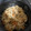 コロどろっぷ's cooksnap of when they made ◆ほっこり♡ツナときのこの炊き込みご飯◆.