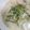 Cony◎'s cooksnap of when they made こっくり粕汁！基本編.