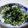 ちくわ君's cooksnap of when they made 大根と大根葉の浅漬け❀.