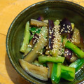 ちーまぐ's cooksnap of when they made 冷やしなすときゅうりの中華風サラダ.