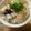 きゃろぽて's cooksnap of when they made シラスとゆかりふんわり盛り.