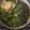 かおk★'s cooksnap of when they made 風邪に！冷え性に！簡単あんかけ生姜うどん.