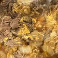 りなゆうと's cooksnap of when they made 牛こま肉と白菜のすき煮.