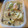 さすらいのふーみん's cooksnap of when they made 白菜と鮭のクリーム煮.