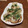 cacotan's cooksnap of when they made 新物たけのこの素揚げ、青のりあえ.