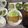 ☆あさ's cooksnap of when they made さつま芋とお豆の腸活アイオリサラダ.