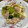 ミアンミアン's cooksnap of when they made 長ネギ☆鶏もも肉の塩炒め.