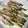 ♬のんのこ日和♬'s cooksnap of when they made 簡単、アスパラの豚巻き.