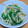 kaori238's cooksnap of when they made ＊もやしとニラのオイスターソース炒め＊.