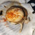 ちゃちゅ2's cooksnap of when they made フライパンで簡単♪殻付きホタテバター.