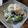 ばたみそーぱん☆'s cooksnap of when they made 5分完成☆洋食にも合うほうれん草の白和え.
